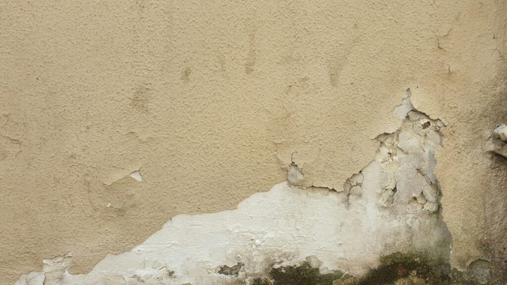 Mold & peeling paint on a home's wall from moisture